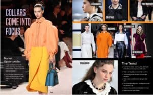 Collars in Focus May20