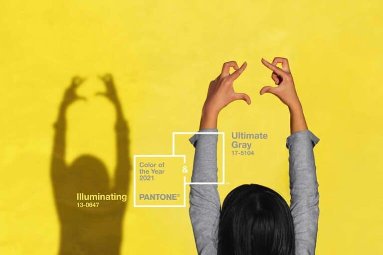 Pantone Color of the Year '21