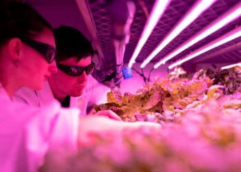 Biodiversity sustainability