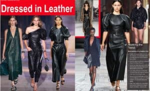 Leather Dresses Feb