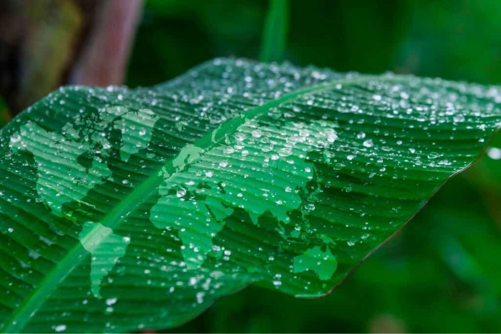 Sustainability Hero Pix