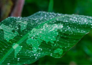 Sustainability Hero Pix