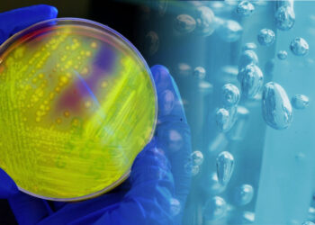 Prod Innovation Feb22 hero