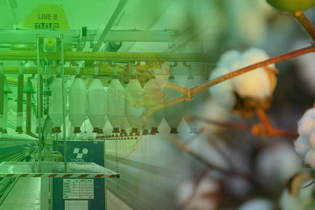 Thai Spinners Lead Article