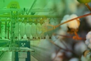 Thai Spinners Lead Article