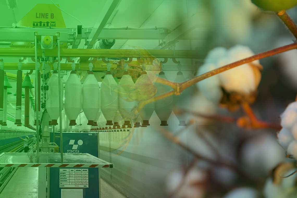 Thai Spinners Lead Article