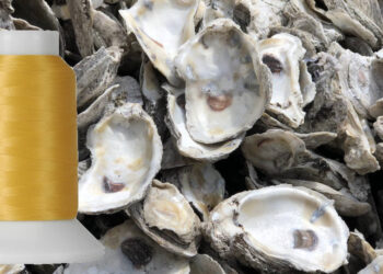 Product Innovation Dec 22 hero