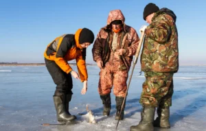 Outerwear shell materials