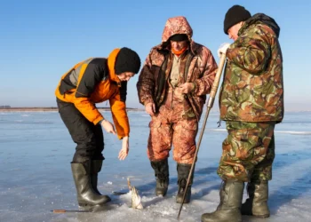 Outerwear shell materials