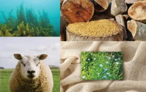 Natural Fibers that Perform