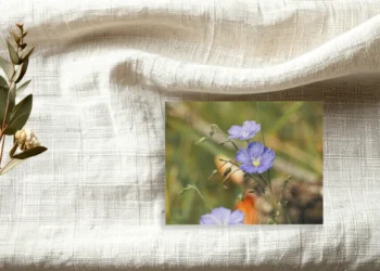 Linen materials