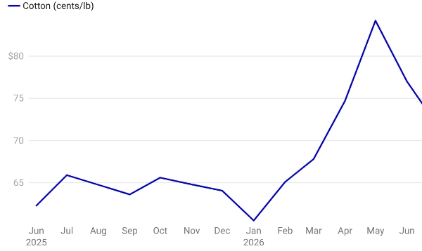Cotton prices new